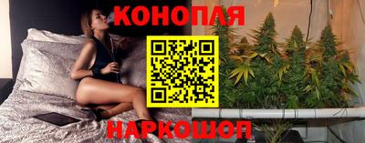 гашик Усть-Илимск